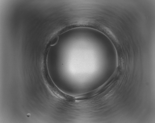 X0000069790588200605191040