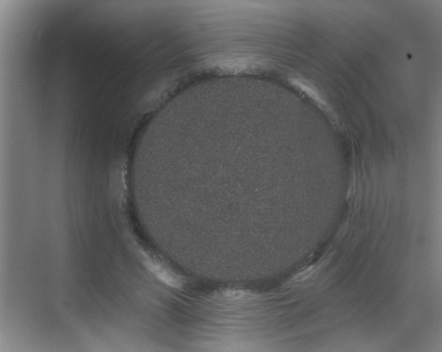 X0000069790590200605191040