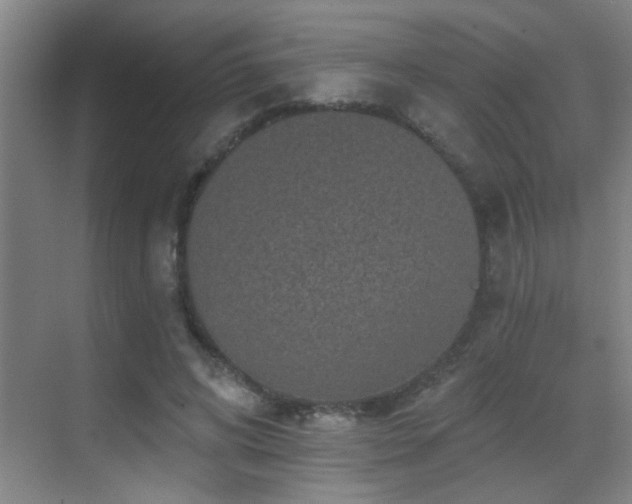 X0000069790592200605191040