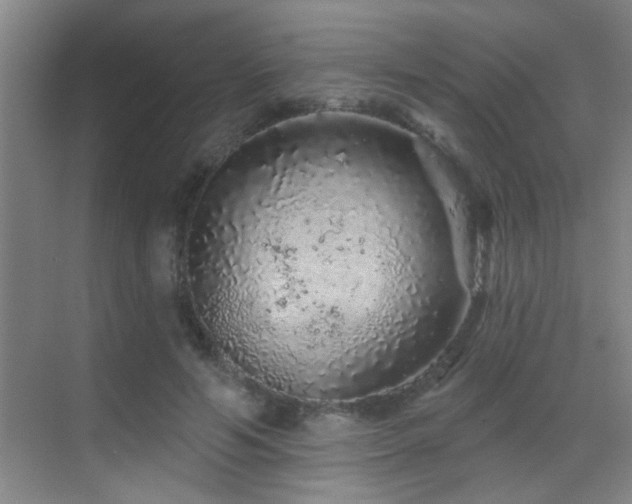 X0000069790594200605191040