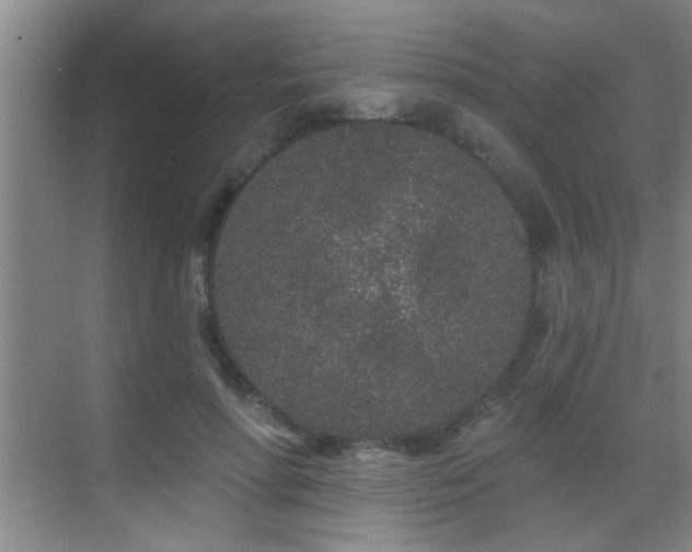 X0000069790598200605191040