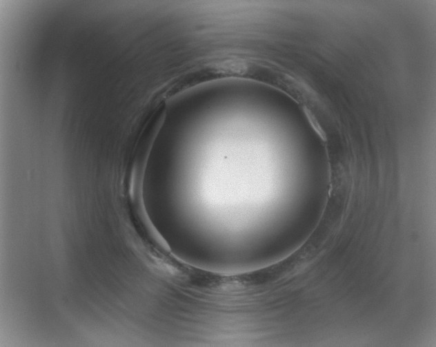 X0000069790600200605191040