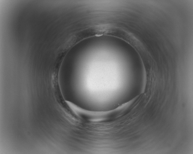 X0000069790601200605191040