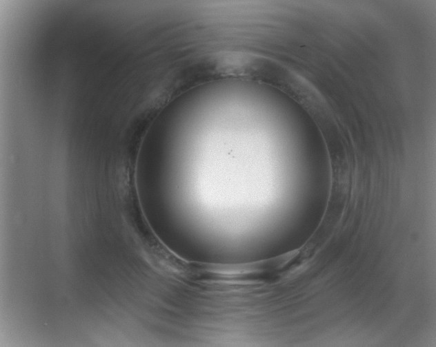 X0000069790603200605191040