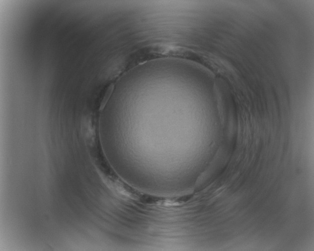 X0000069790607200605191040