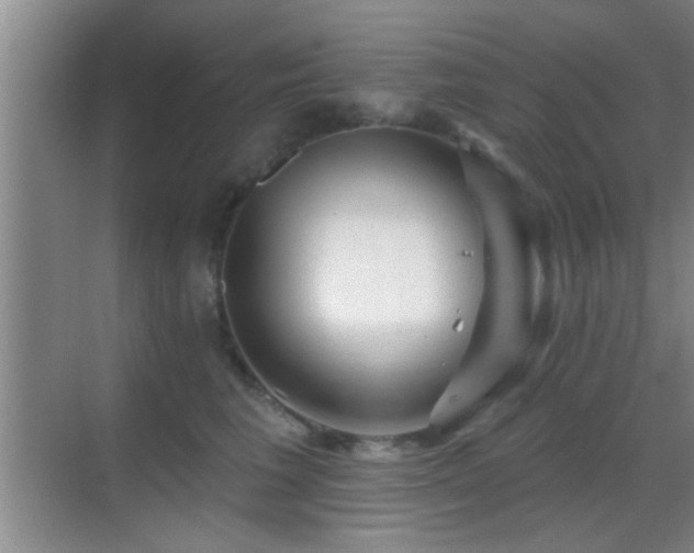 X0000069790613200605191040