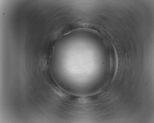 X0000069790615200605191040