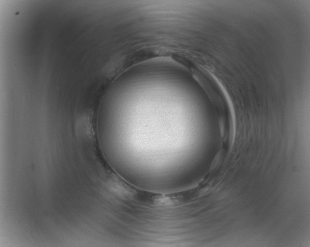 X0000069790616200605191040