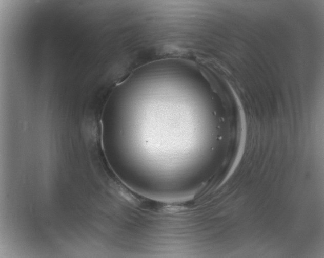 X0000069790617200605191040