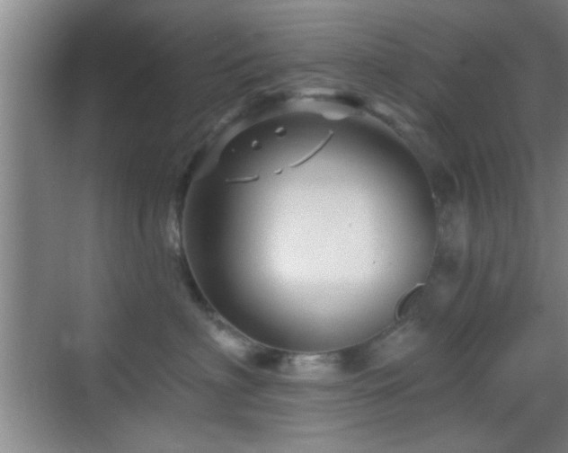 X0000069790622200605191040