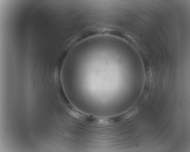 X0000069790623200605191040