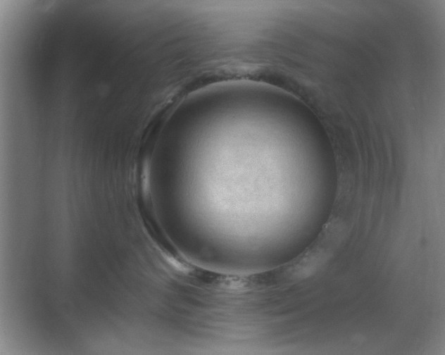 X0000069790624200605191040