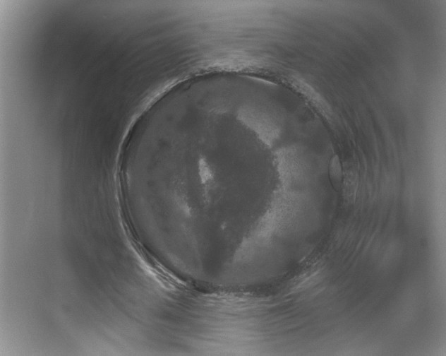 X0000069790626200605191039