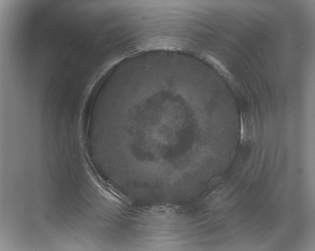 X0000069790627200605191039