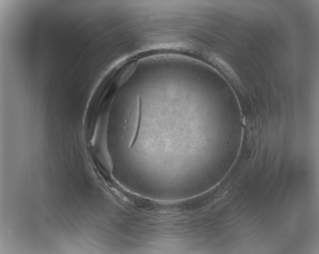 X0000069790628200605191039