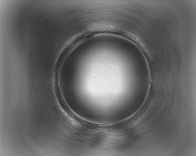 X0000069790629200605191039