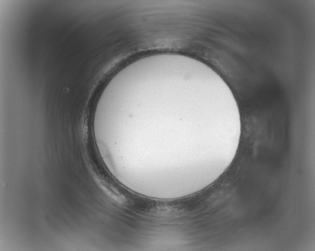 X0000069790632200605191039