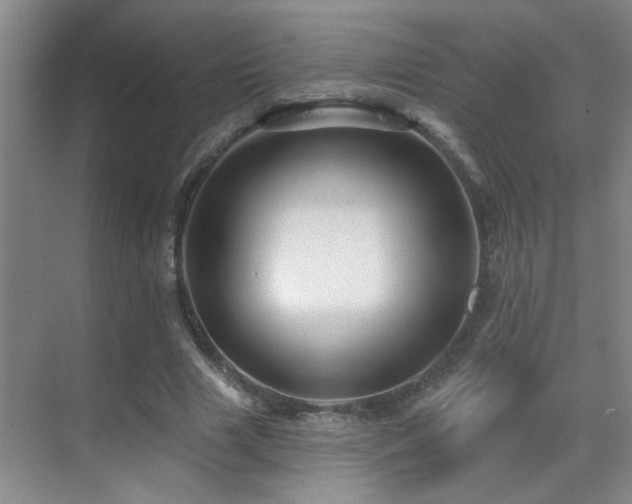 X0000069790633200605191039