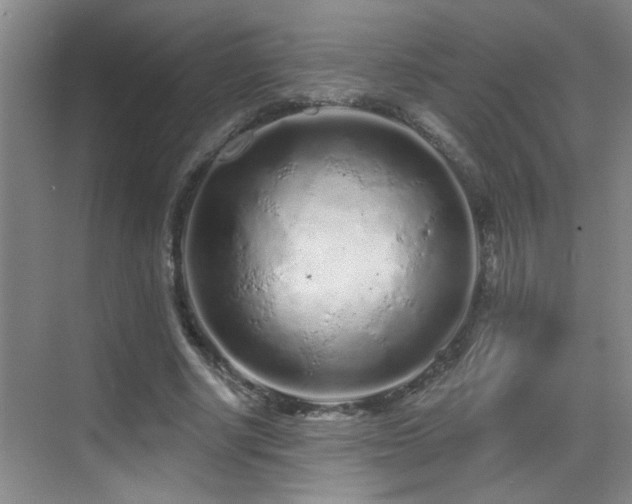 X0000069790634200605191039