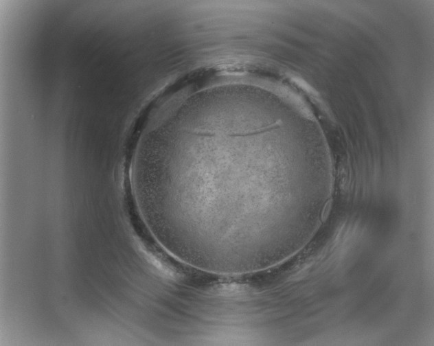 X0000069790637200605191039