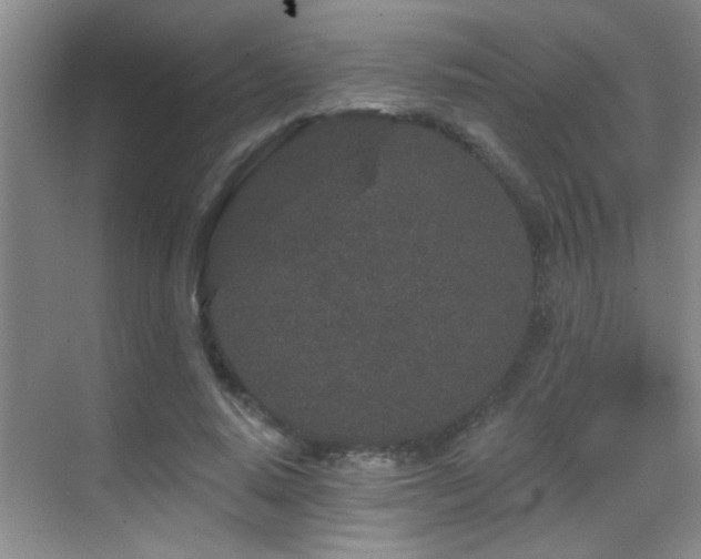 X0000069790640200605191039