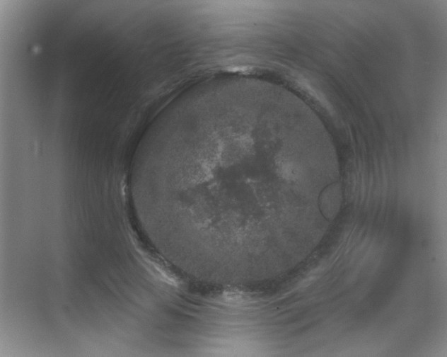 X0000069790641200605191039