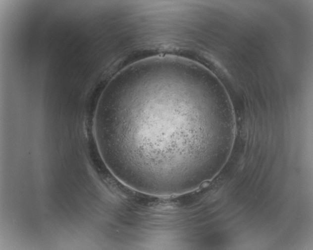 X0000069790643200605191039