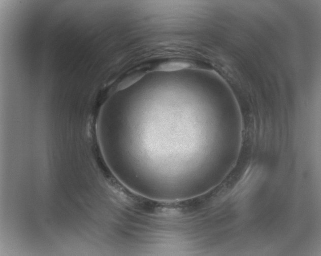 X0000069790649200605191039