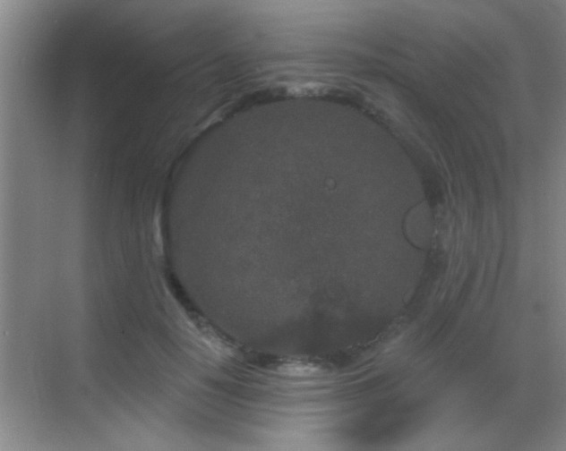 X0000069790650200605191039