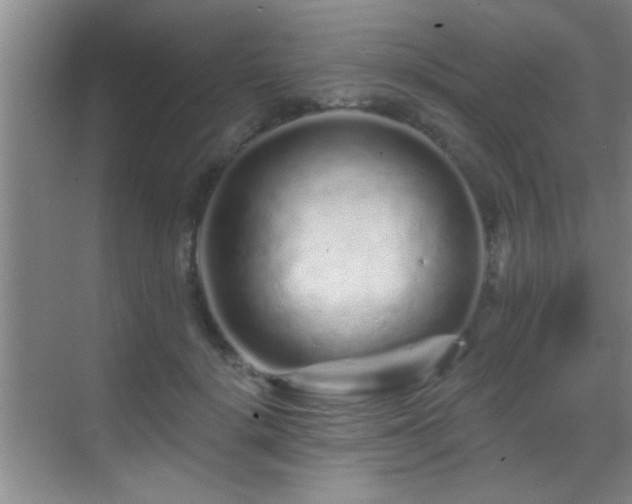 X0000069790652200605191039