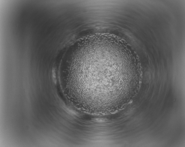 X0000069790654200605191039