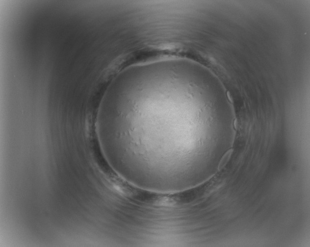 X0000069790656200605191039