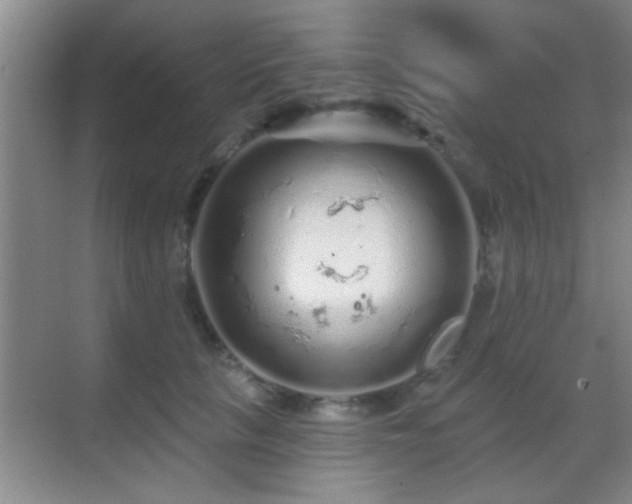 X0000069790657200605191039