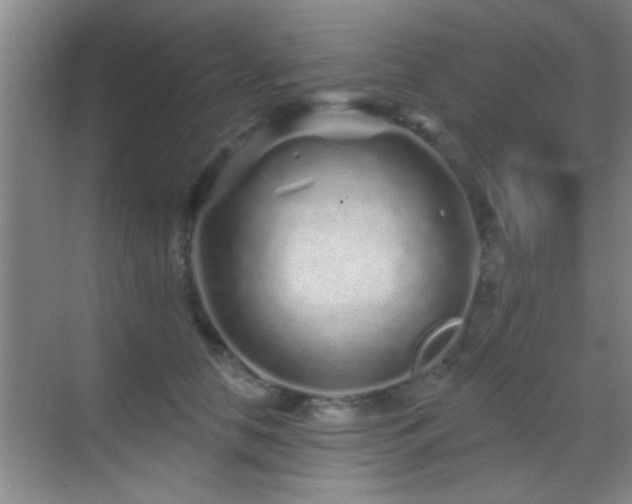 X0000069790658200605191039