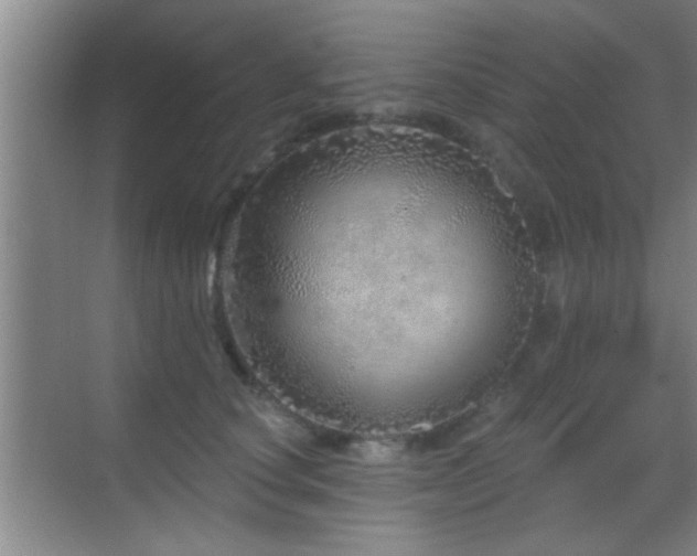 X0000069790660200605191040