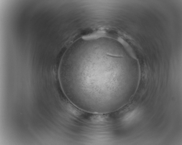 X0000069790661200605191040