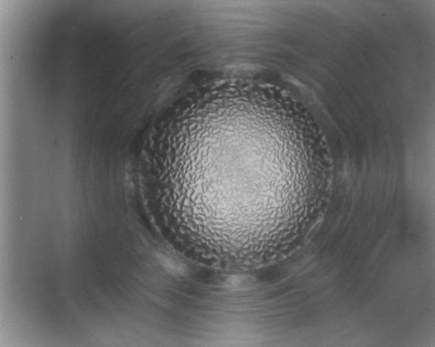 X0000069790663200605191040