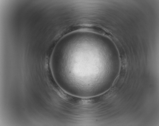 X0000069790664200605191040