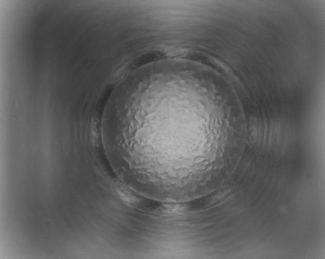 X0000069790667200605191040