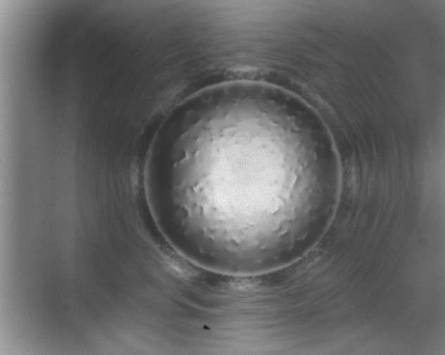 X0000069790668200605191040