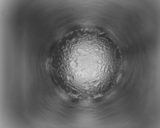 X0000069790671200605191040