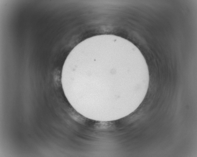 X0000069790672200605191040