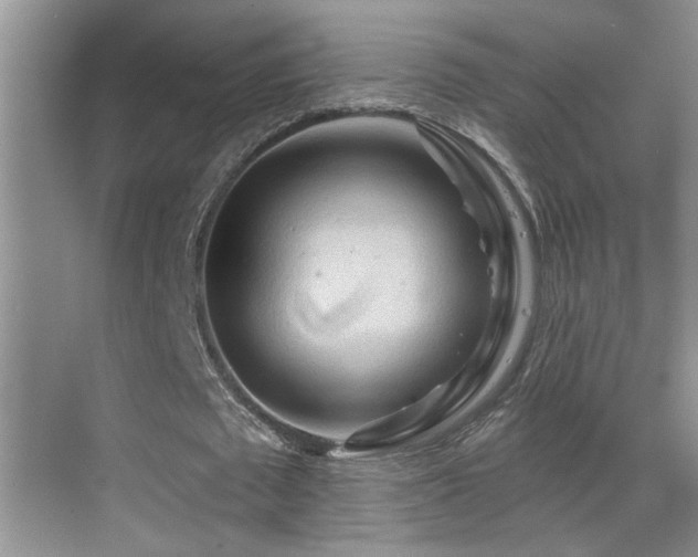 X0000069790673200605191039