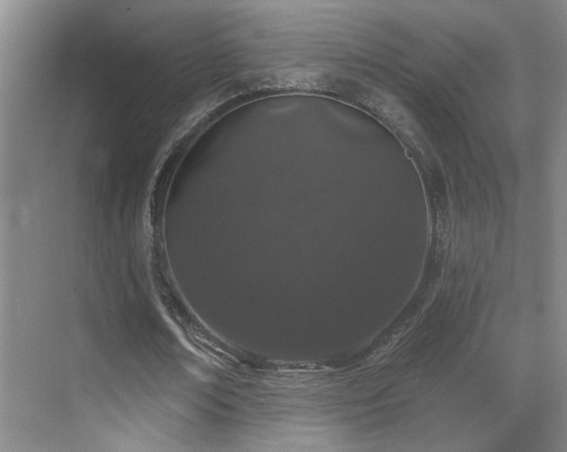 X0000069790674200605191039