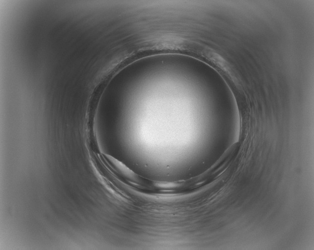 X0000069790677200605191039