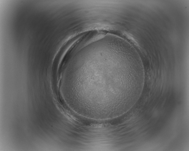 X0000069790679200605191039