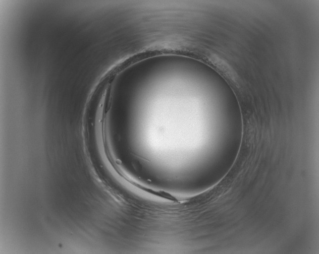 X0000069790680200605191039