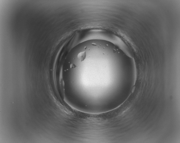 X0000069790681200605191039