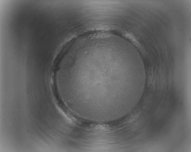 X0000069790683200605191039