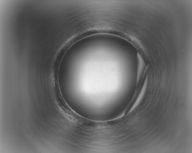 X0000069790684200605191039